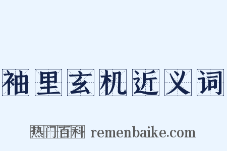 袖里玄机近义词是什么意思的图片